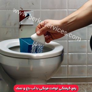 گرفتگی توالت فرنگی