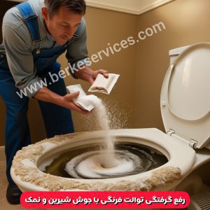 گرفتگی توالت فرنگی