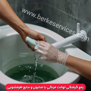 گرفتگی توالت فرنگی