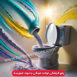 گرفتگی توالت فرنگی