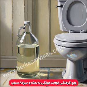 گرفتگی توالت فرنگی