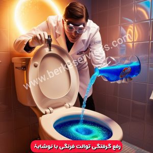گرفتگی توالت فرنگی